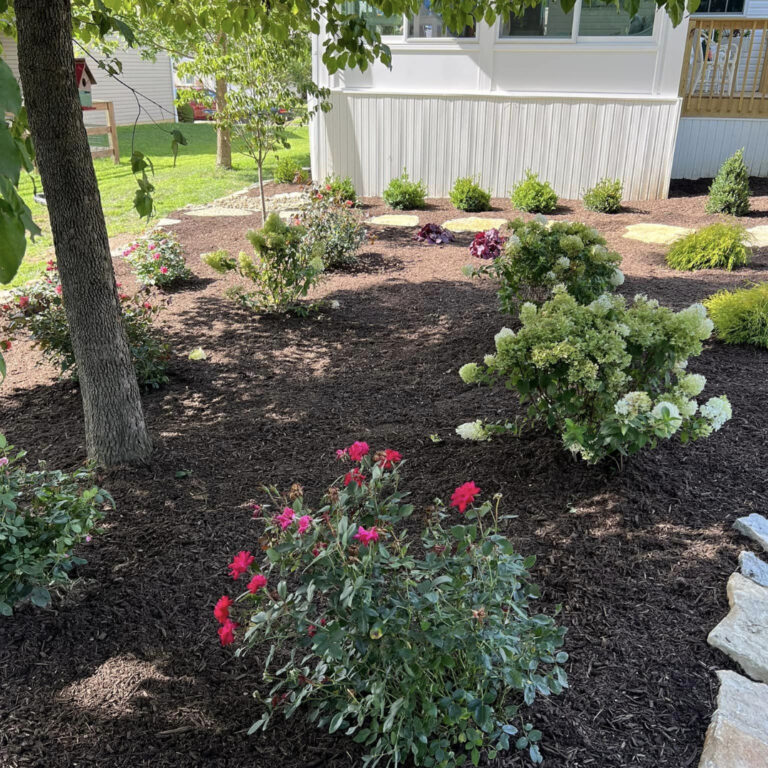 Enhancing Curb Appeal: Unveiling the Magic of Landscaping for a Lasting First Impression
