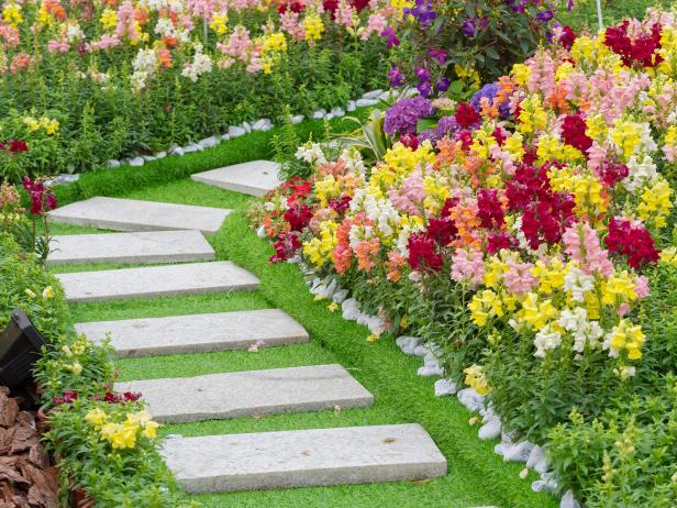 The Four Types of Landscape: A Comprehensive Guide